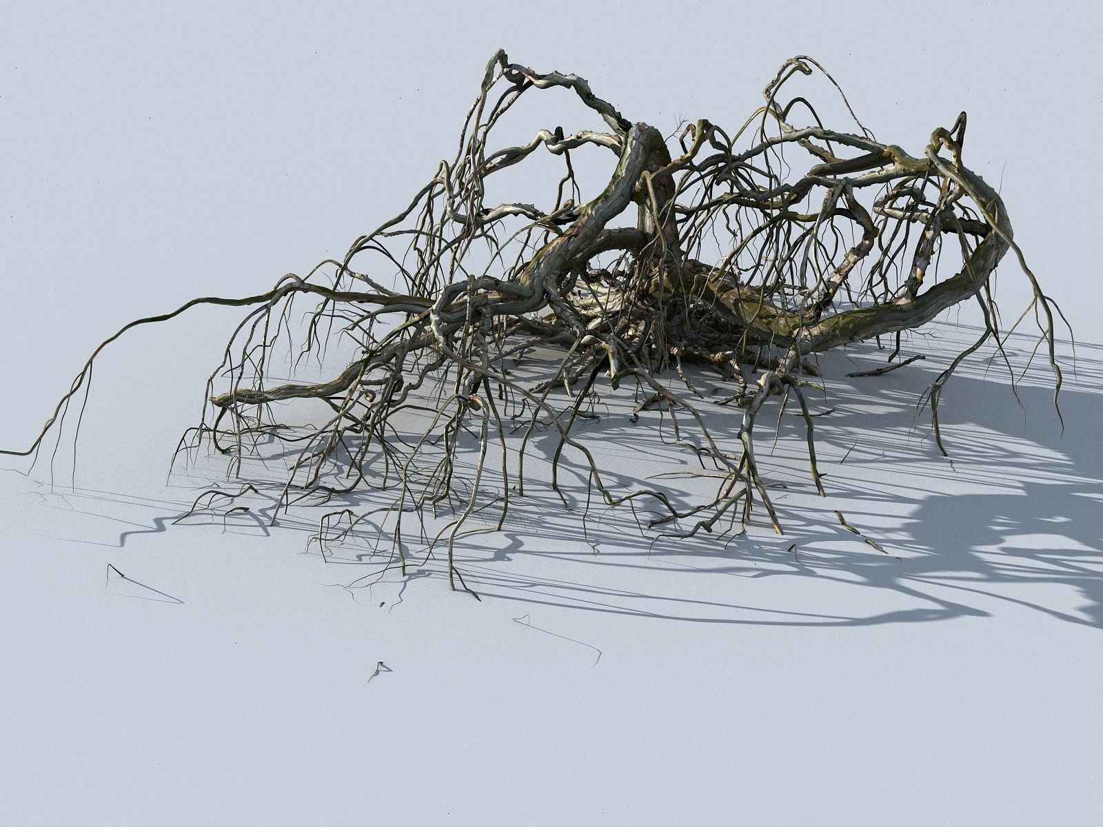 Old Forest Pack 30 3D model_14