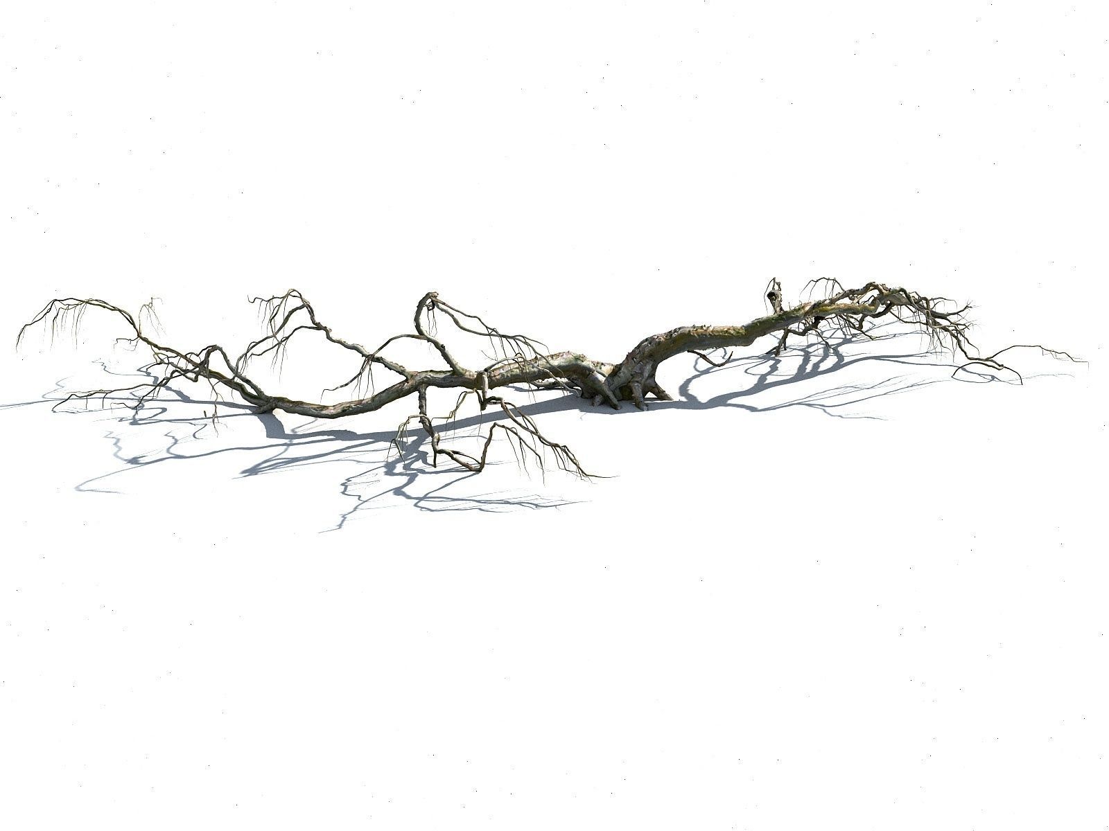 Old Forest Pack 30 3D model_13