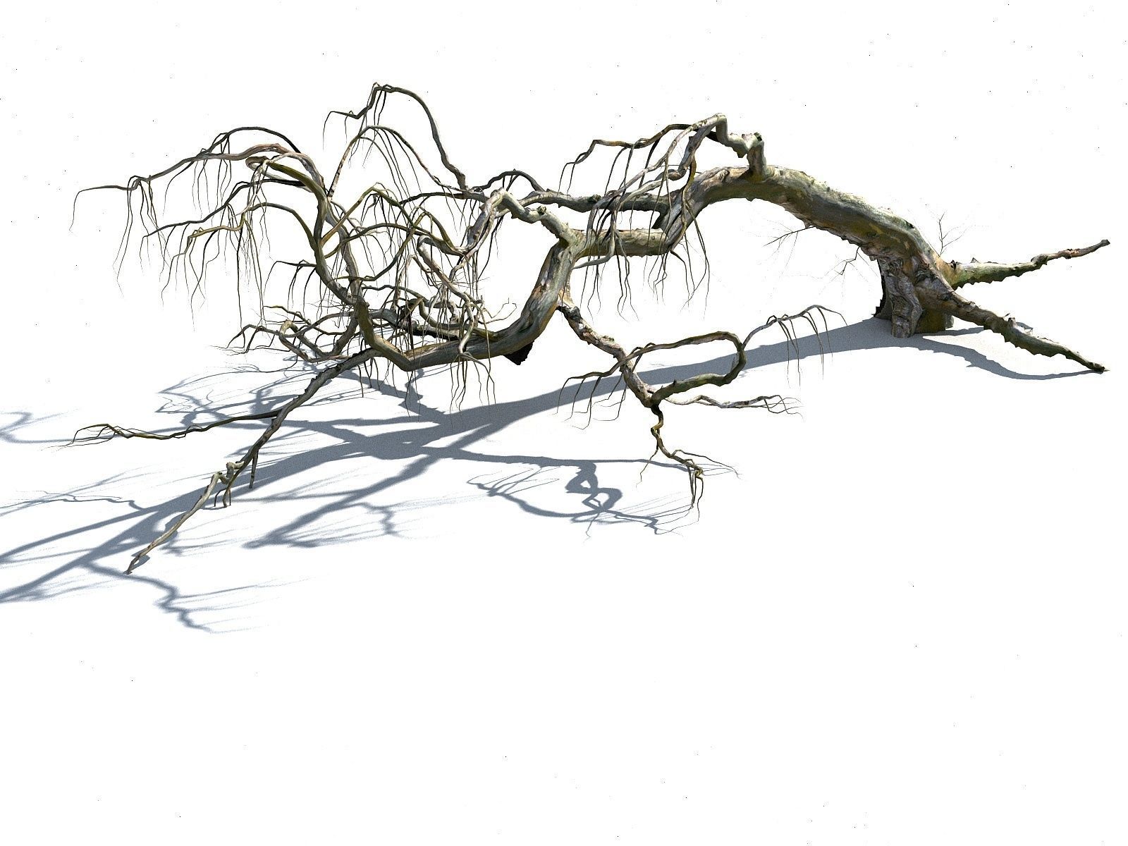 Old Forest Pack 30 3D model_12