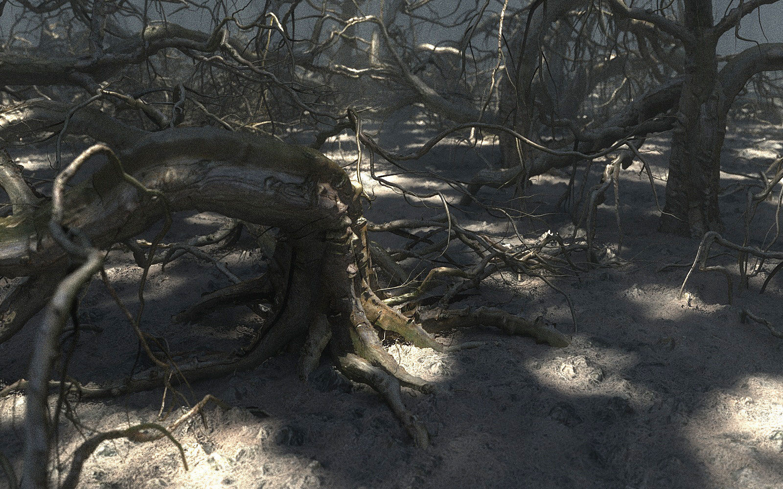 Old Forest Pack 30 3D model_7