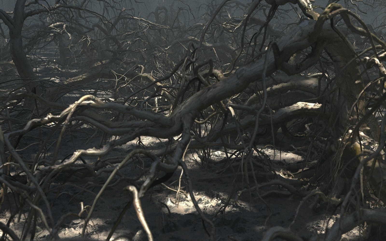 Old Forest Pack 30 3D model_1