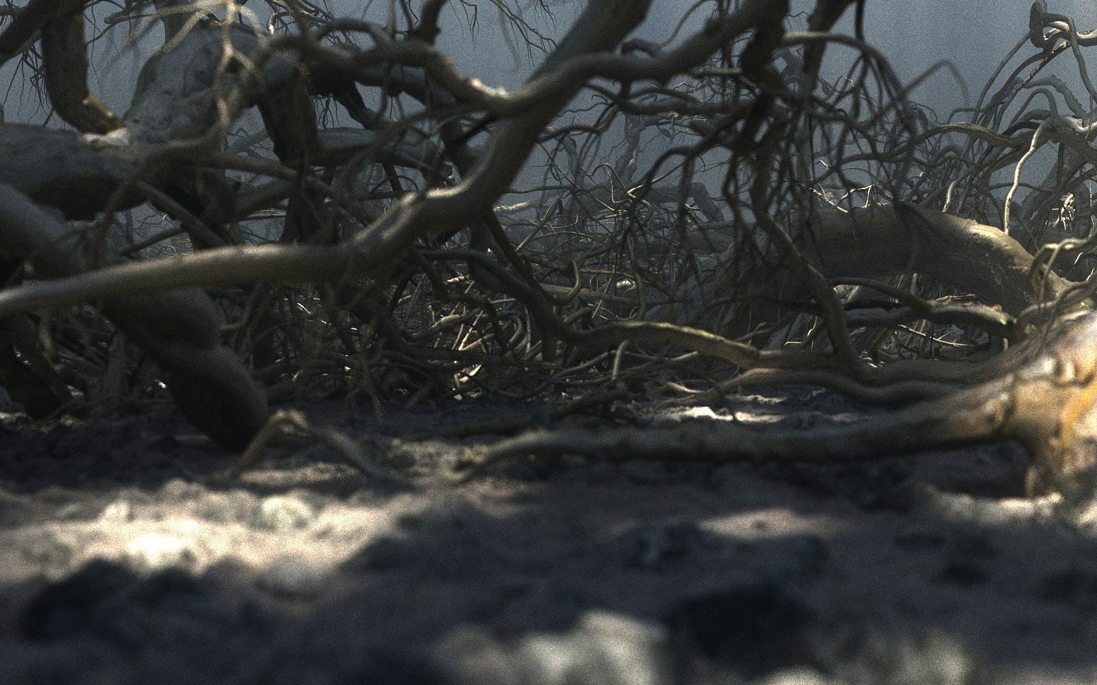 Old Forest Pack 30 3D model_6