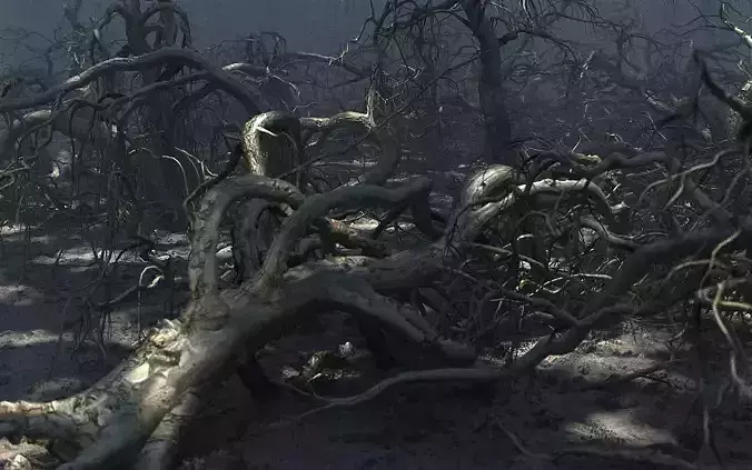 Old Forest Pack 30 3D model
