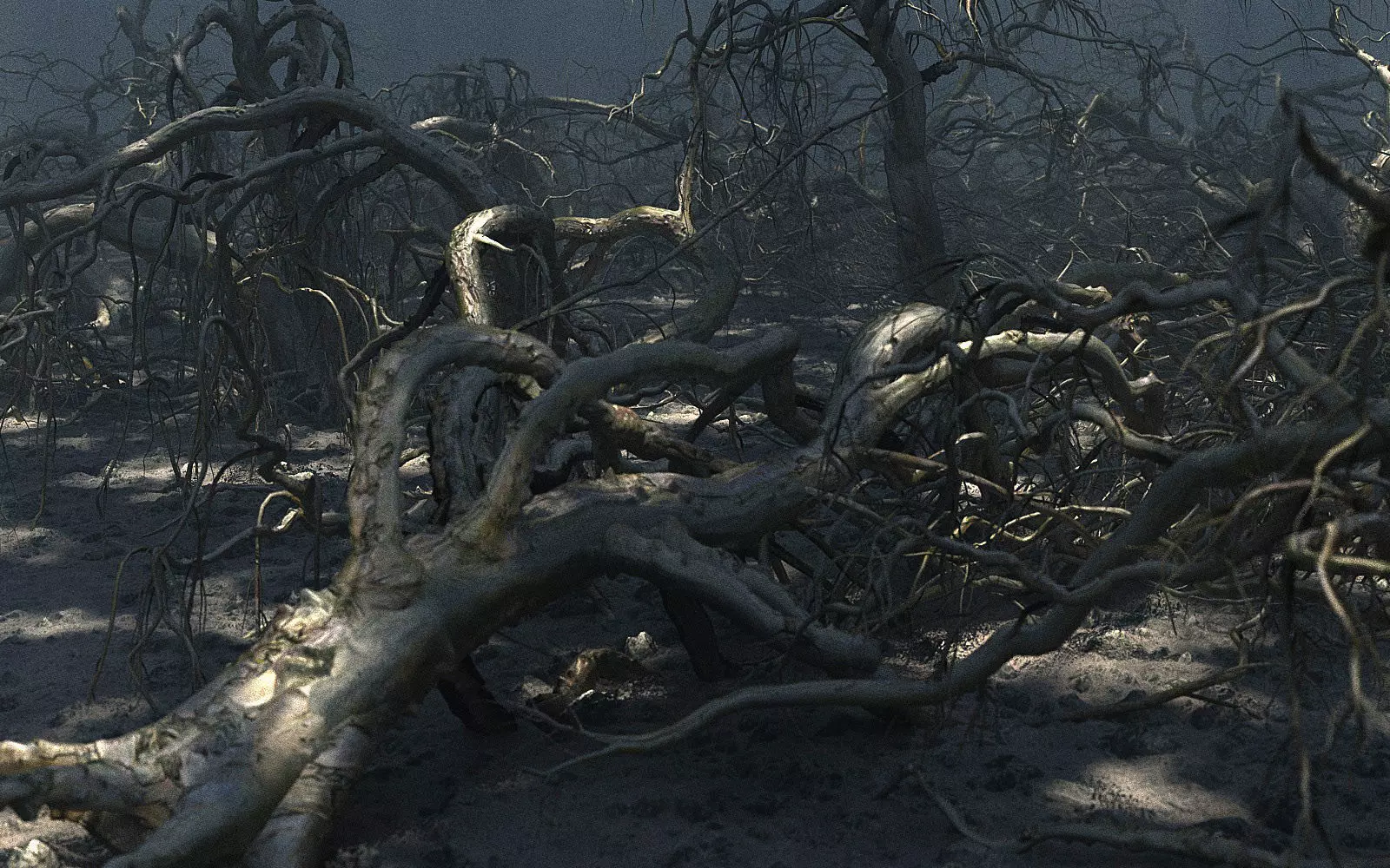 Old Forest Pack 30 3D model_0