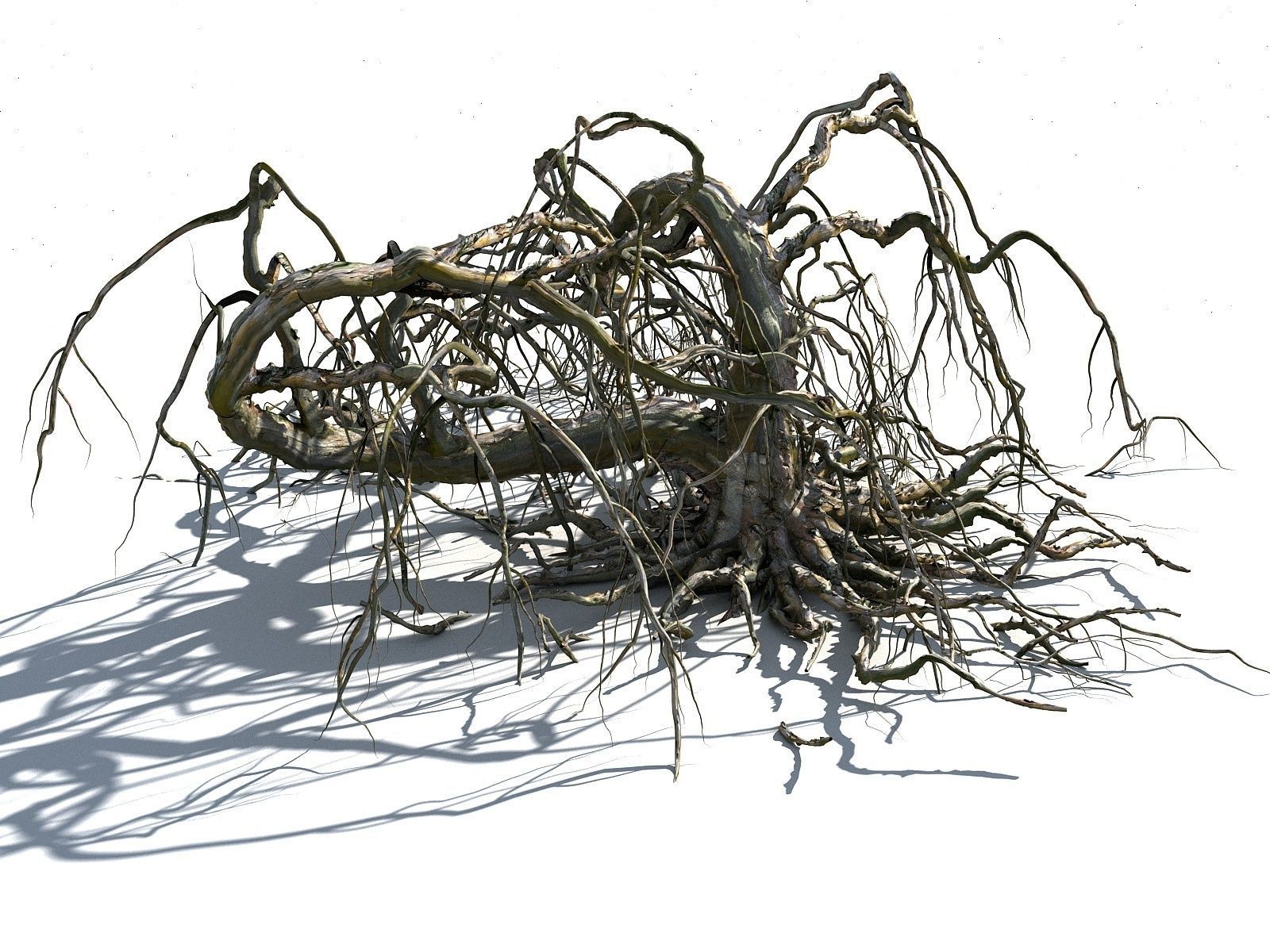 Old Forest Pack 30 3D model_17