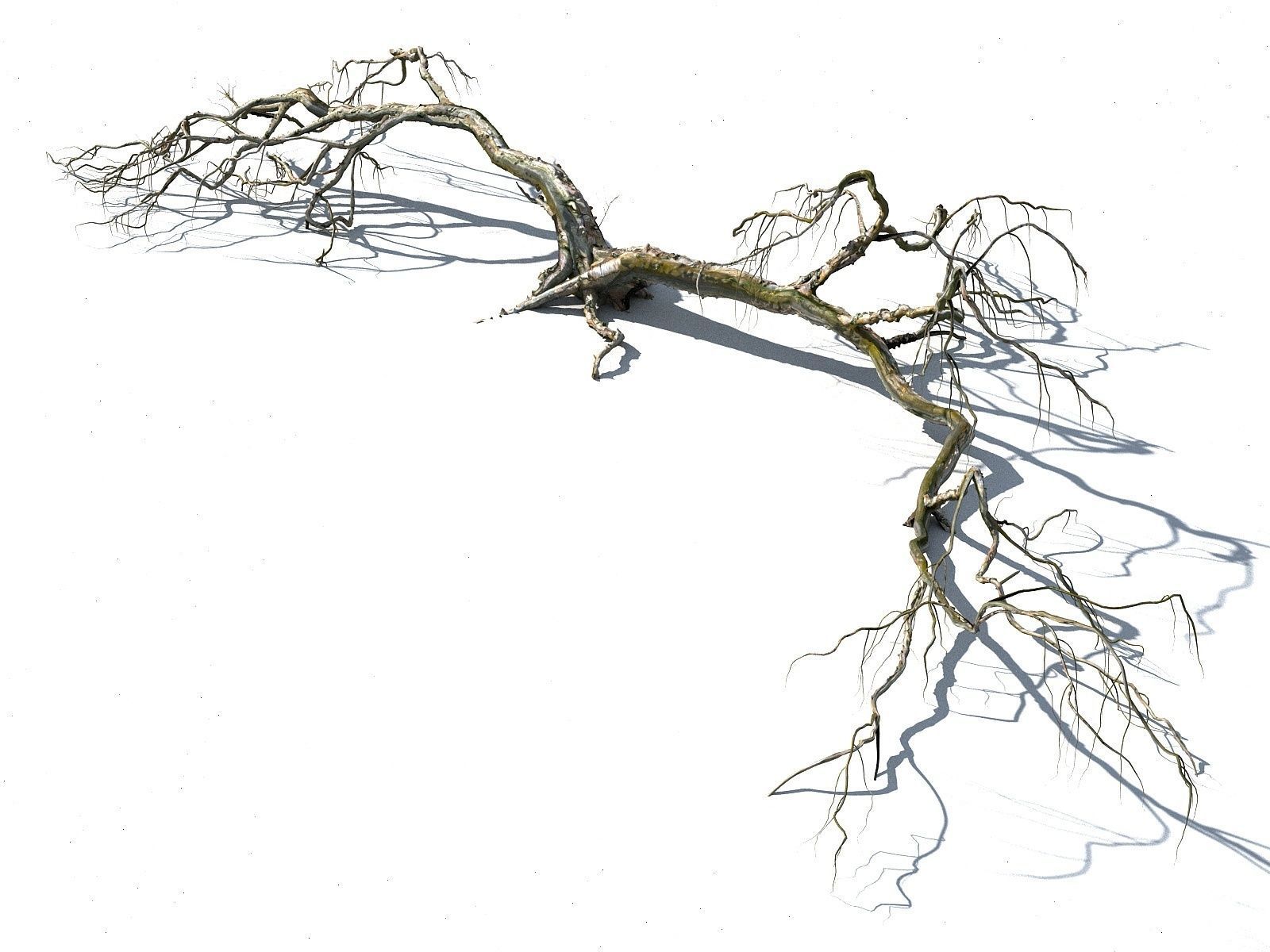 Old Forest Pack 30 3D model_19