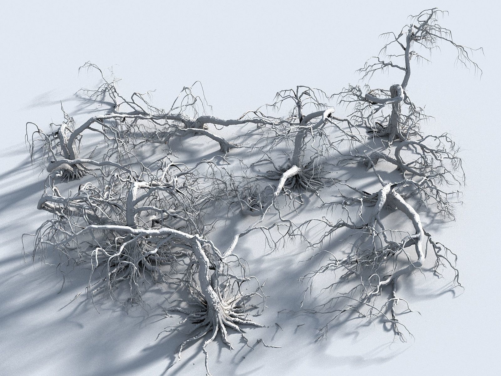 Old Forest Pack 30 3D model_16