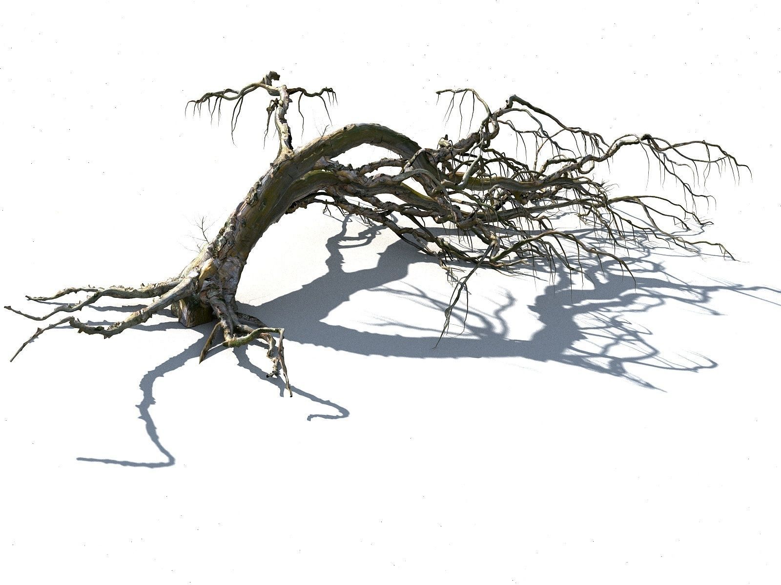 Old Forest Pack 30 3D model_20