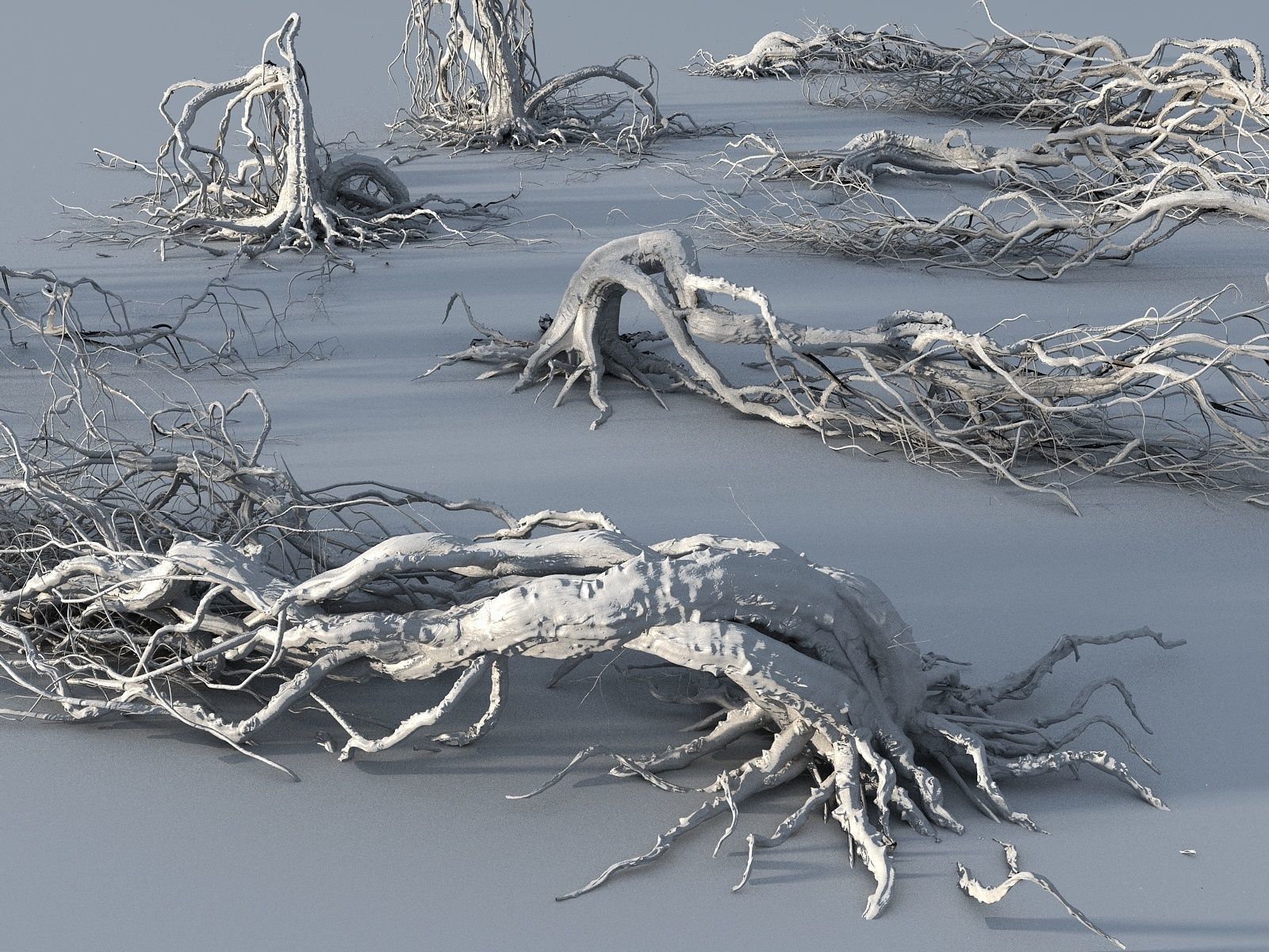 Old Forest Pack 30 3D model_10