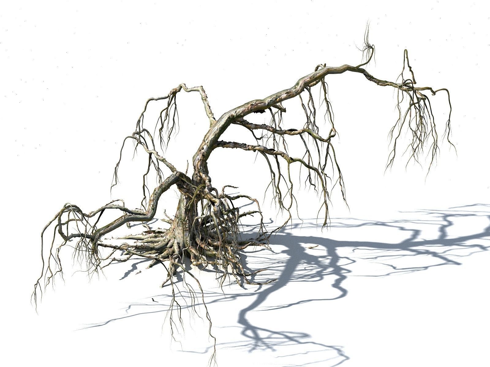 Old Forest Pack 30 3D model_18