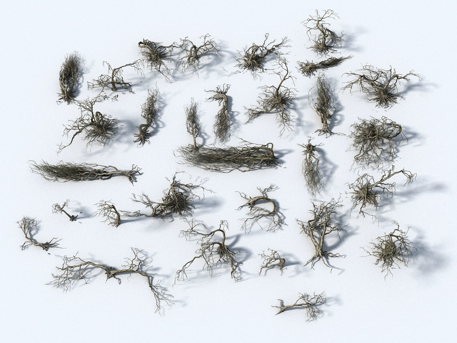 Old Forest Pack 30 3D model_8