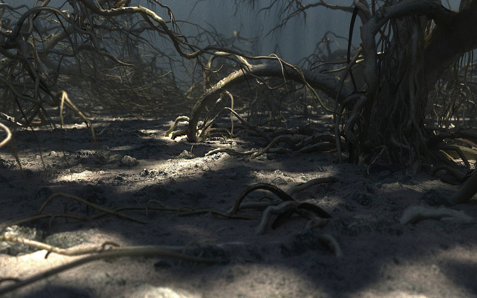 Old Forest Pack 30 3D model_5