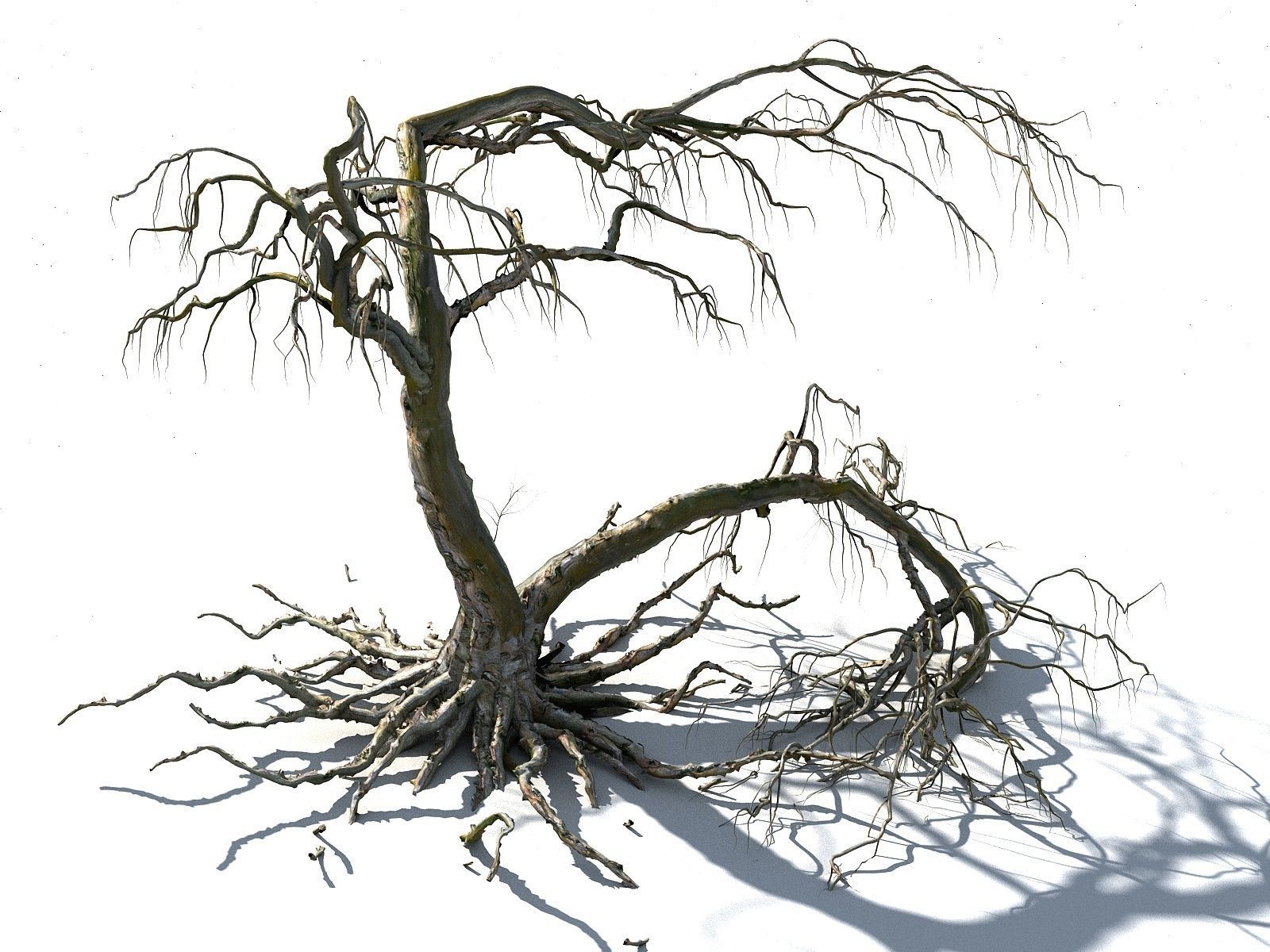 Old Forest Pack 30 3D model_21