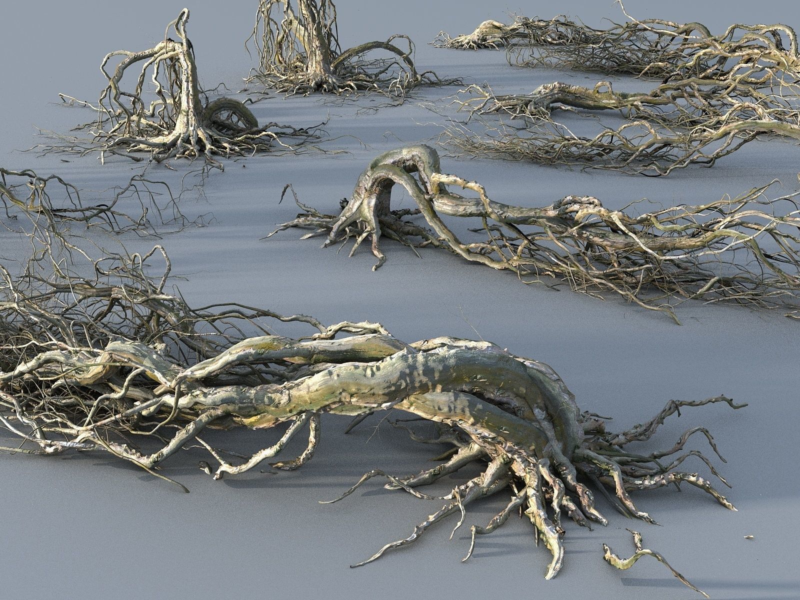 Old Forest Pack 30 3D model_9