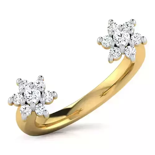 2 Diamond Ring 
