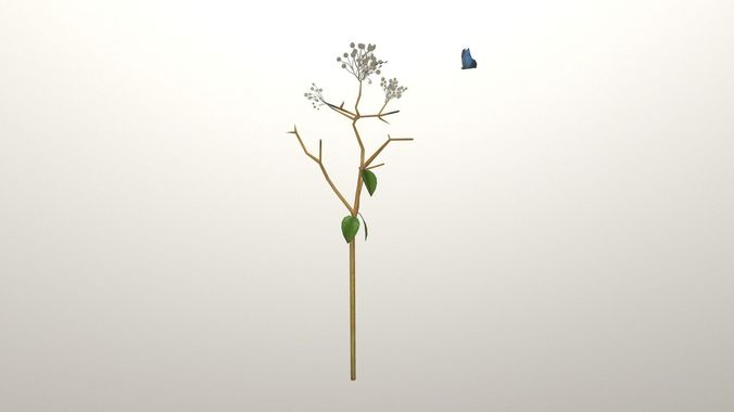 Quray and Butterfly animated Low-poly 3D model