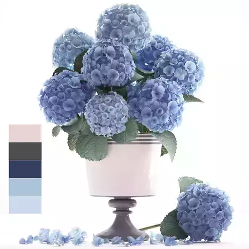 Bouquet of blue Hydrangea
