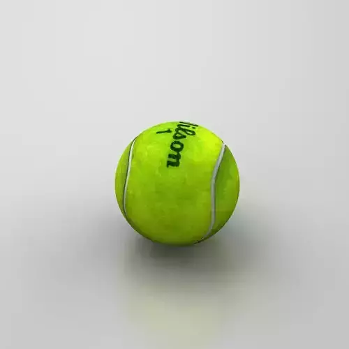 Tennis ball Wilson