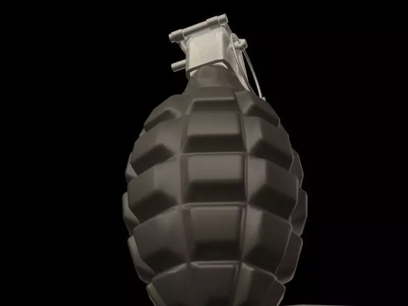 Hand Granade 3D model_0
