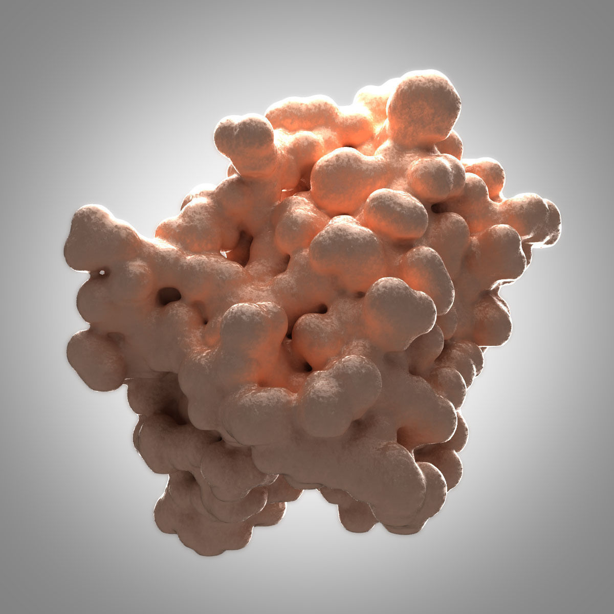 Leptin Protein 3D model_13