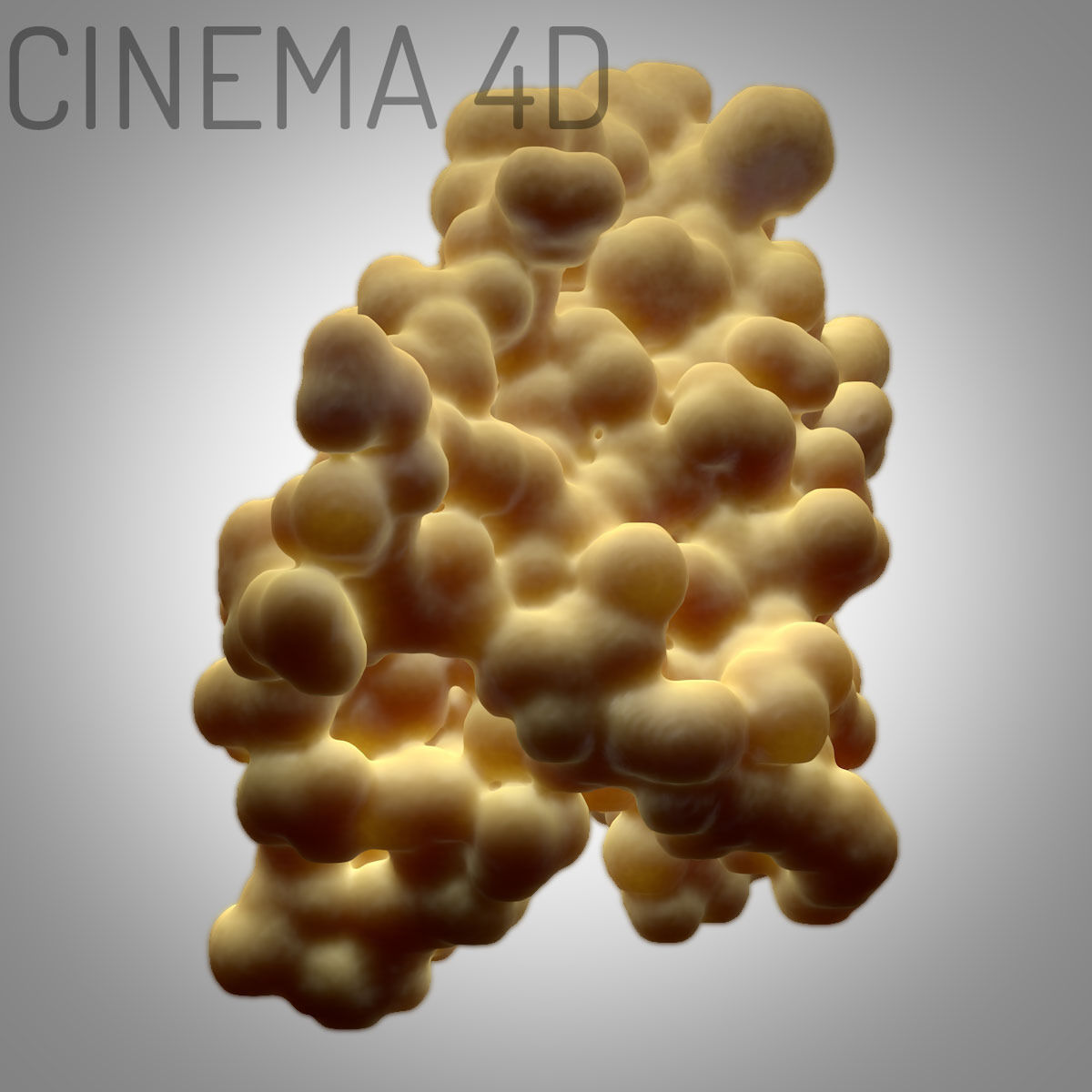 Leptin Protein 3D model_8
