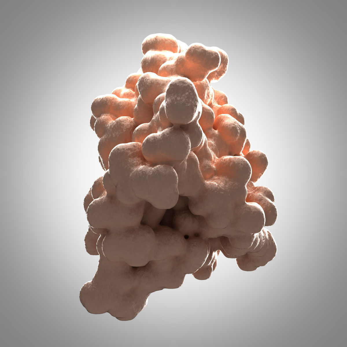 Leptin Protein 3D model_4