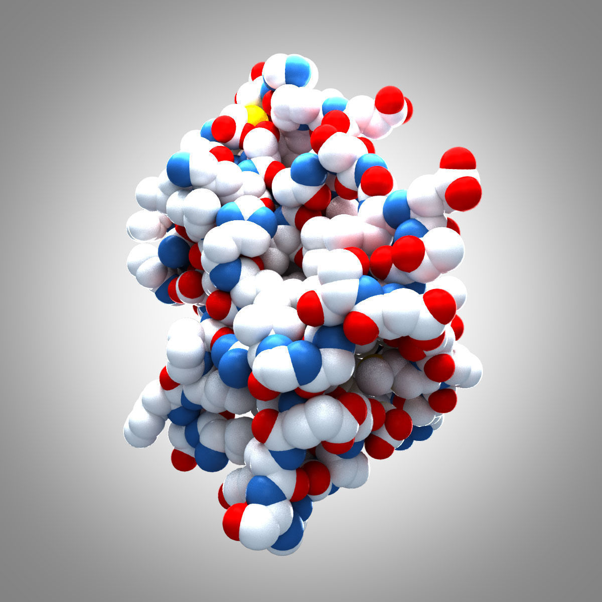 Leptin Protein 3D model_15
