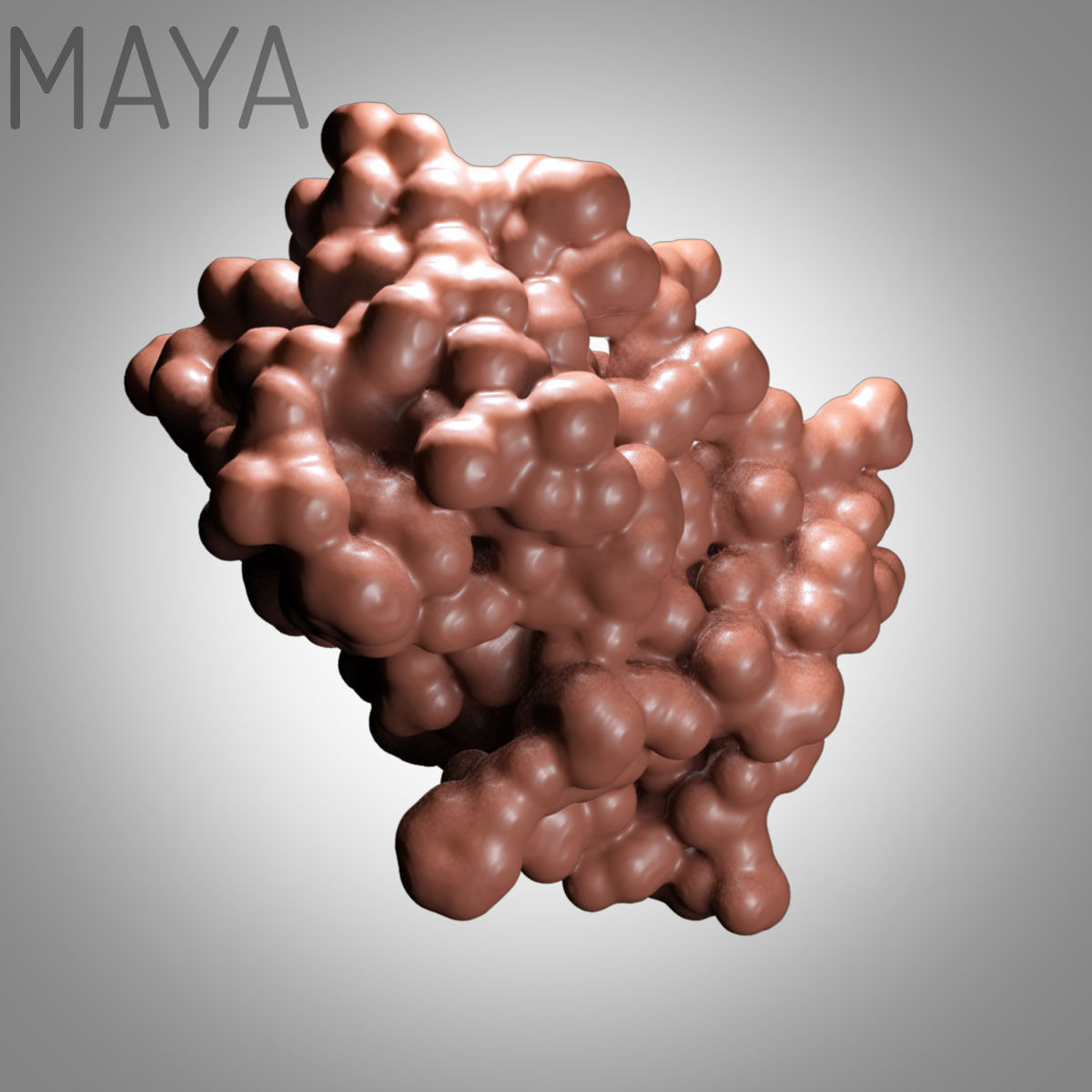 Leptin Protein 3D model_21
