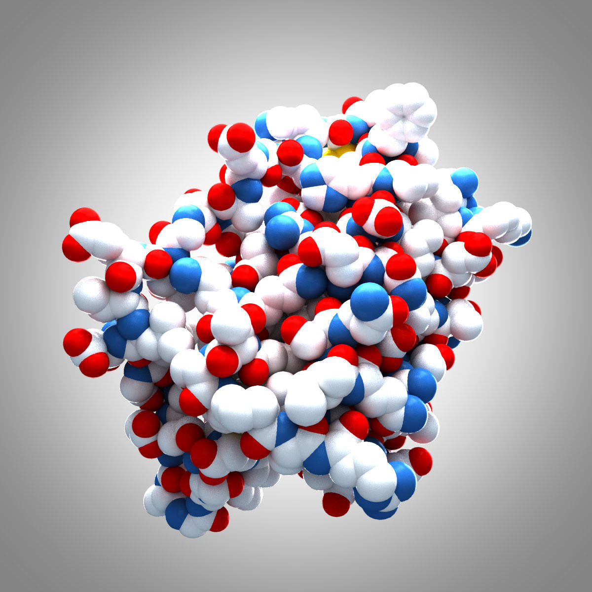 Leptin Protein 3D model_14