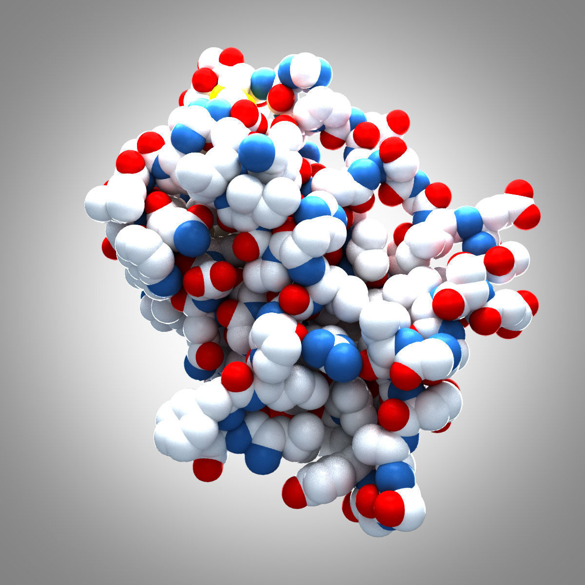 Leptin Protein 3D model_5
