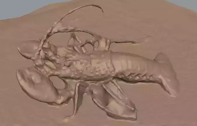 Lobster in sand