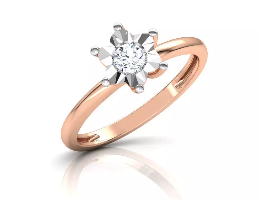 Miracle Plate Ring 3D print model