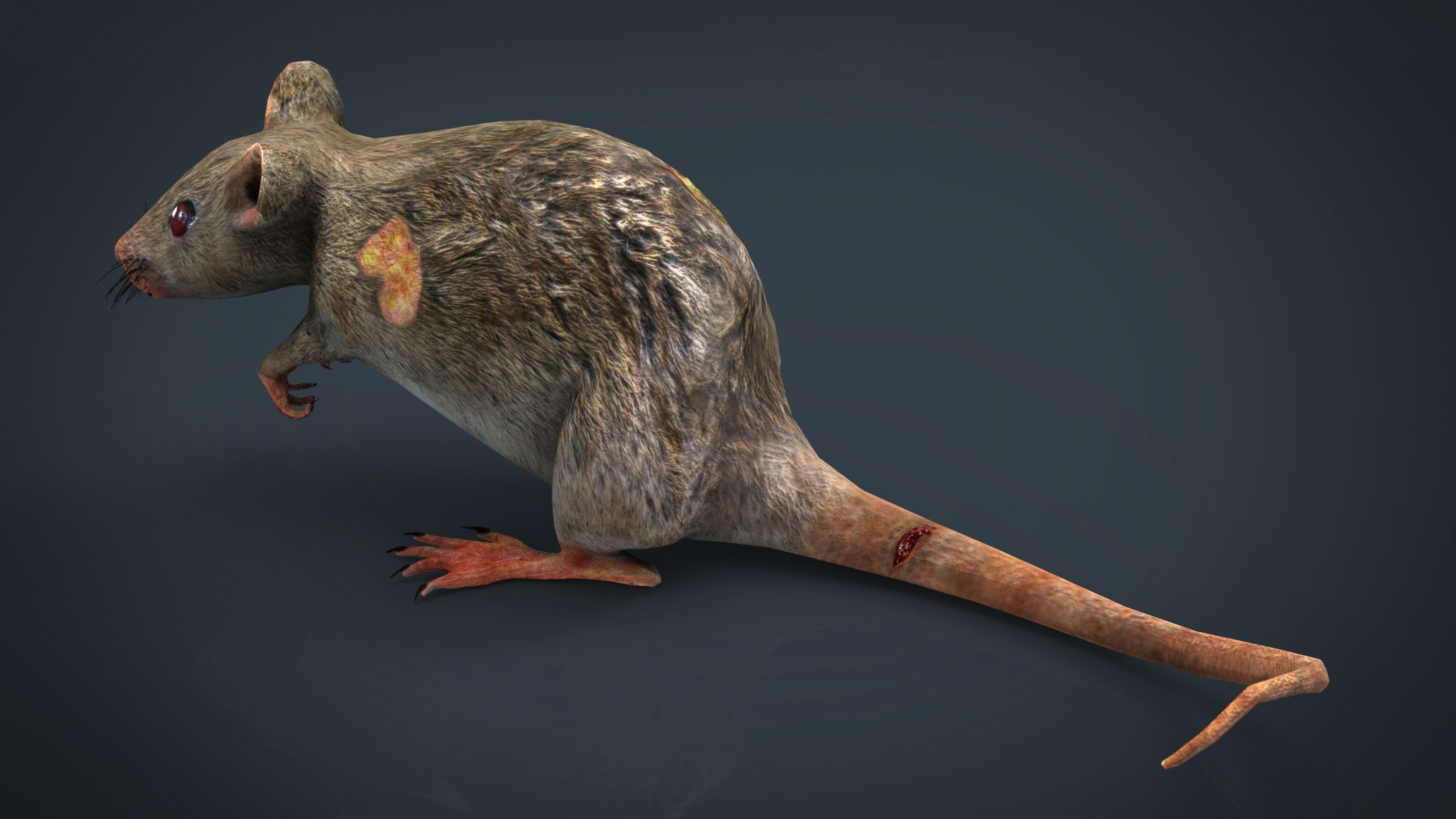 RADIACTIVE RAT Low-poly 3D model_2
