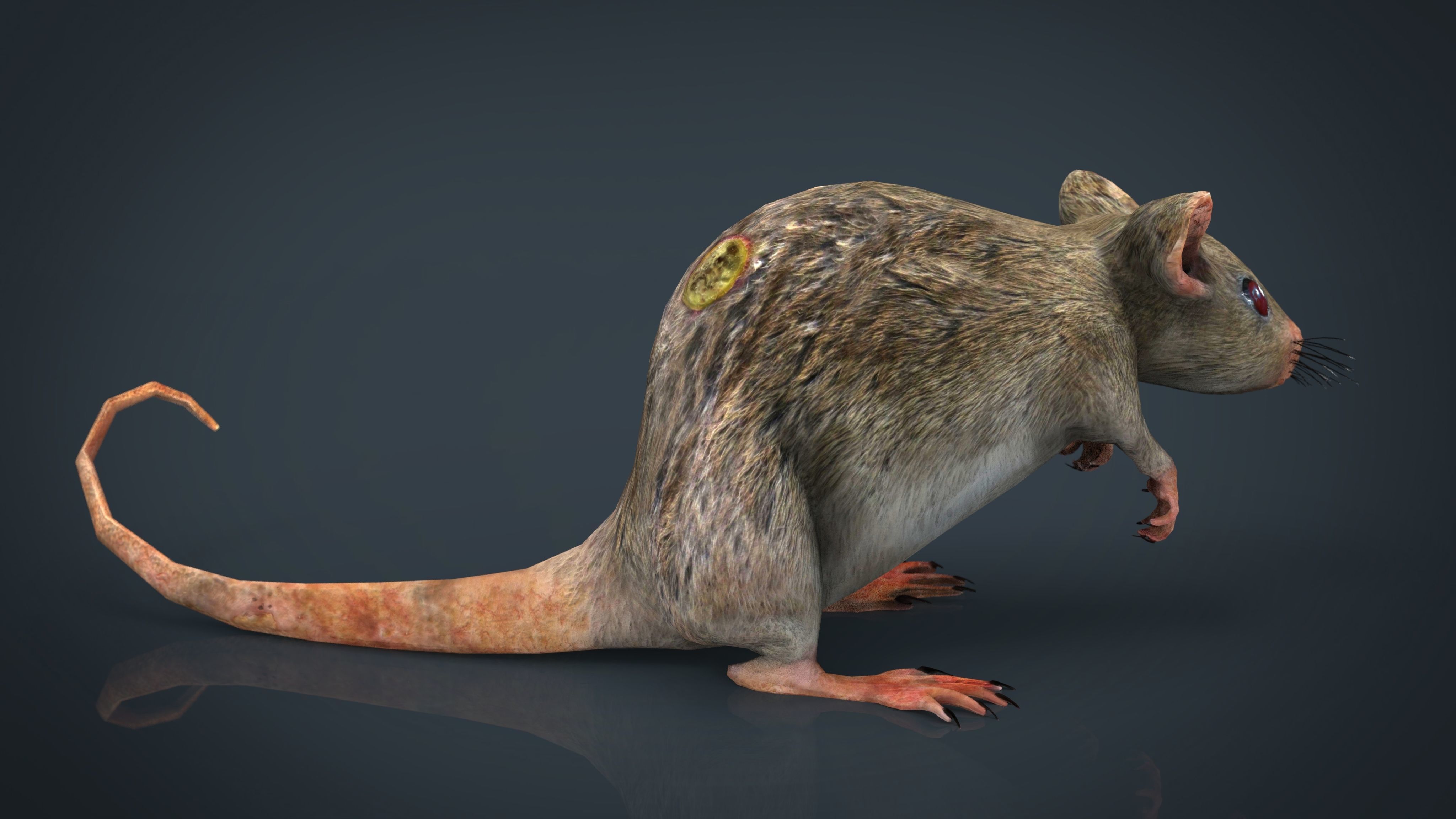 RADIACTIVE RAT Low-poly 3D model_14
