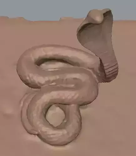 King Cobra 3D model