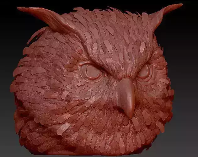 Owl Head