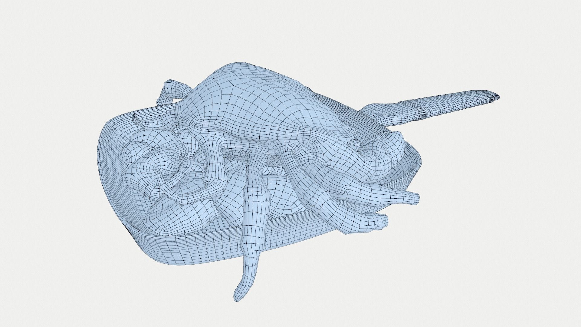 Boiled Crab in a Frying Pan 3D model_10