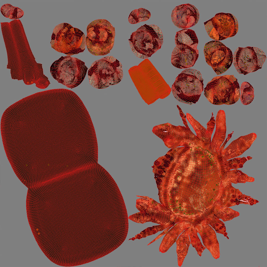 Boiled Crab in a Frying Pan 3D model_12