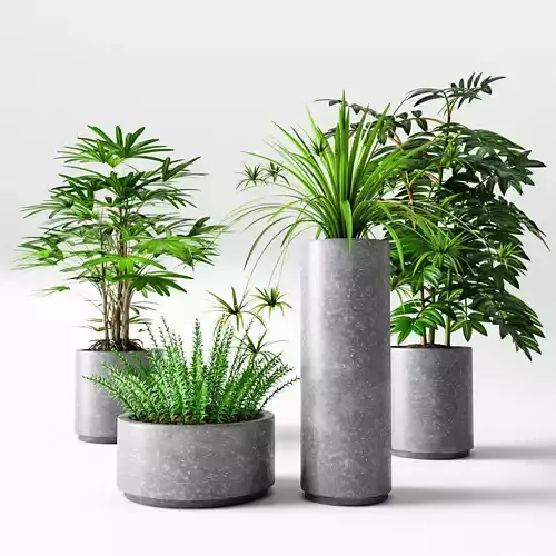 flowerpots four potted plants Low-poly 3D model