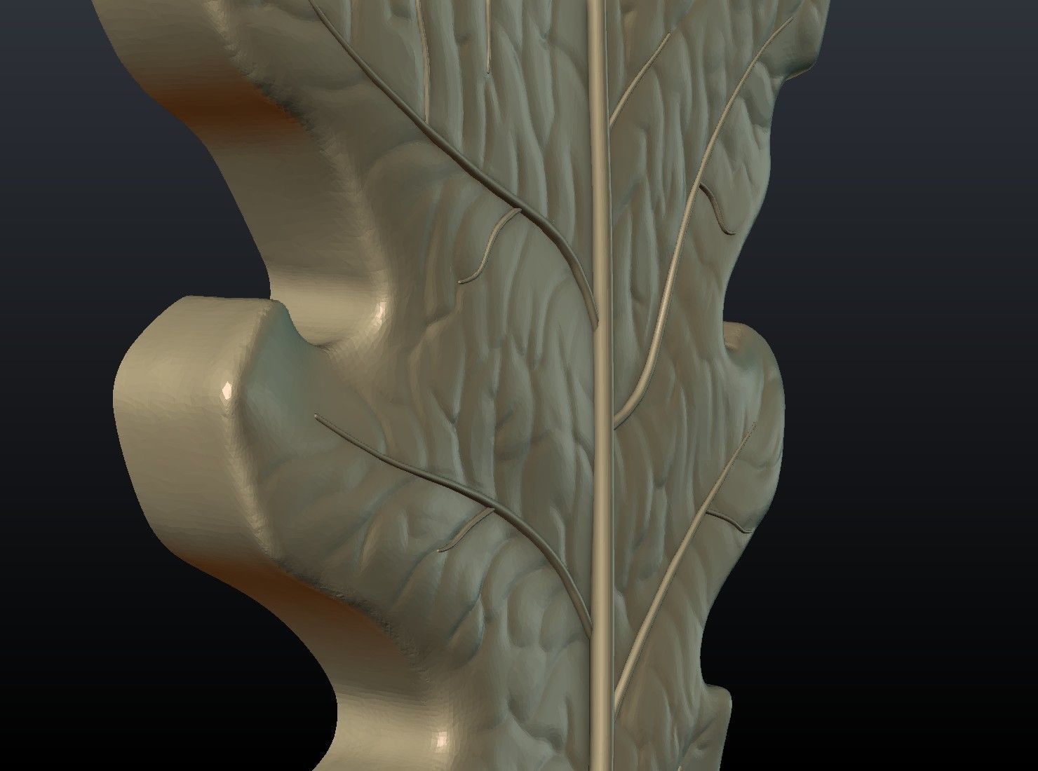 Oak leaf 3D print model_12