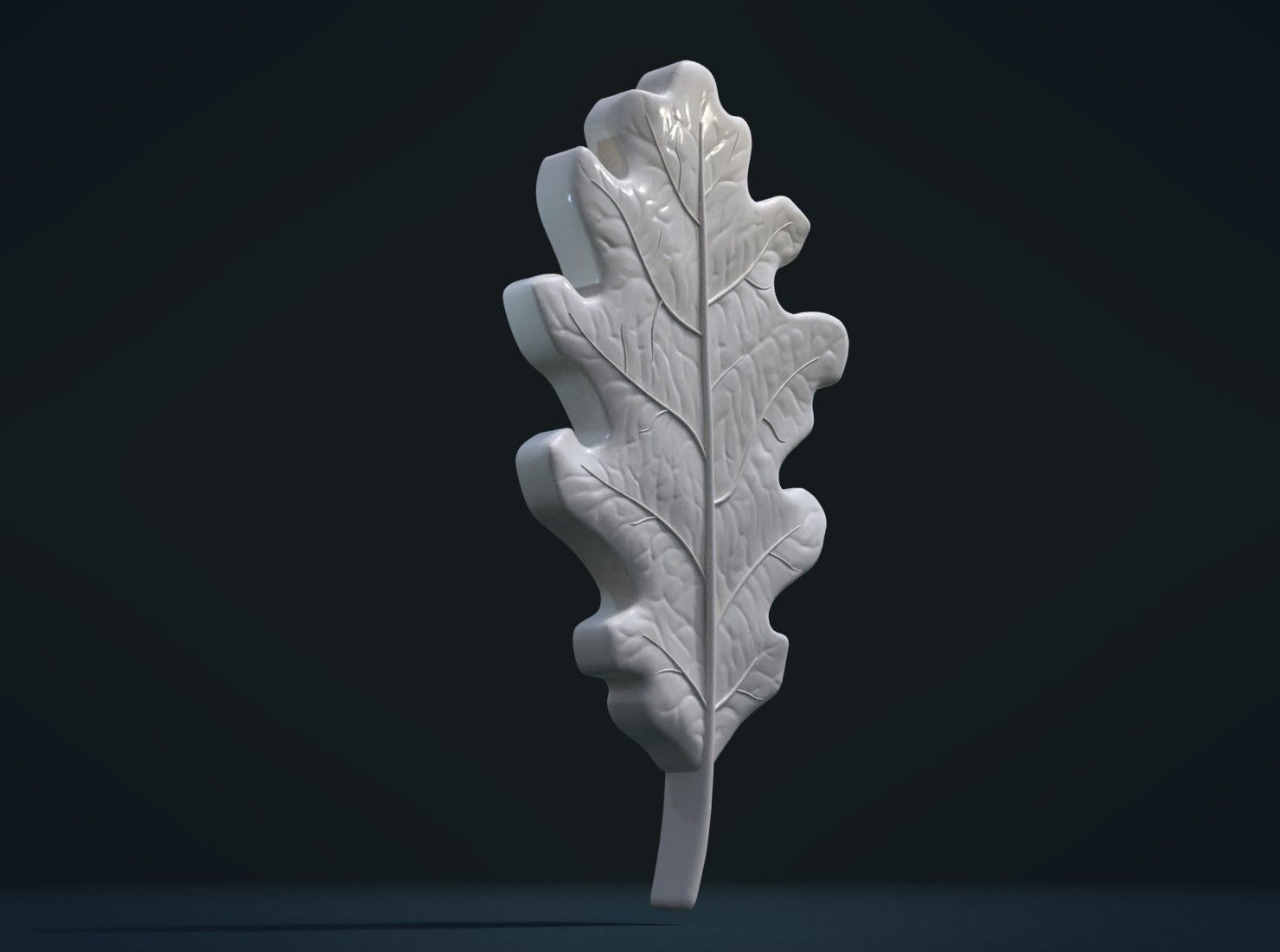 Oak leaf 3D print model_3