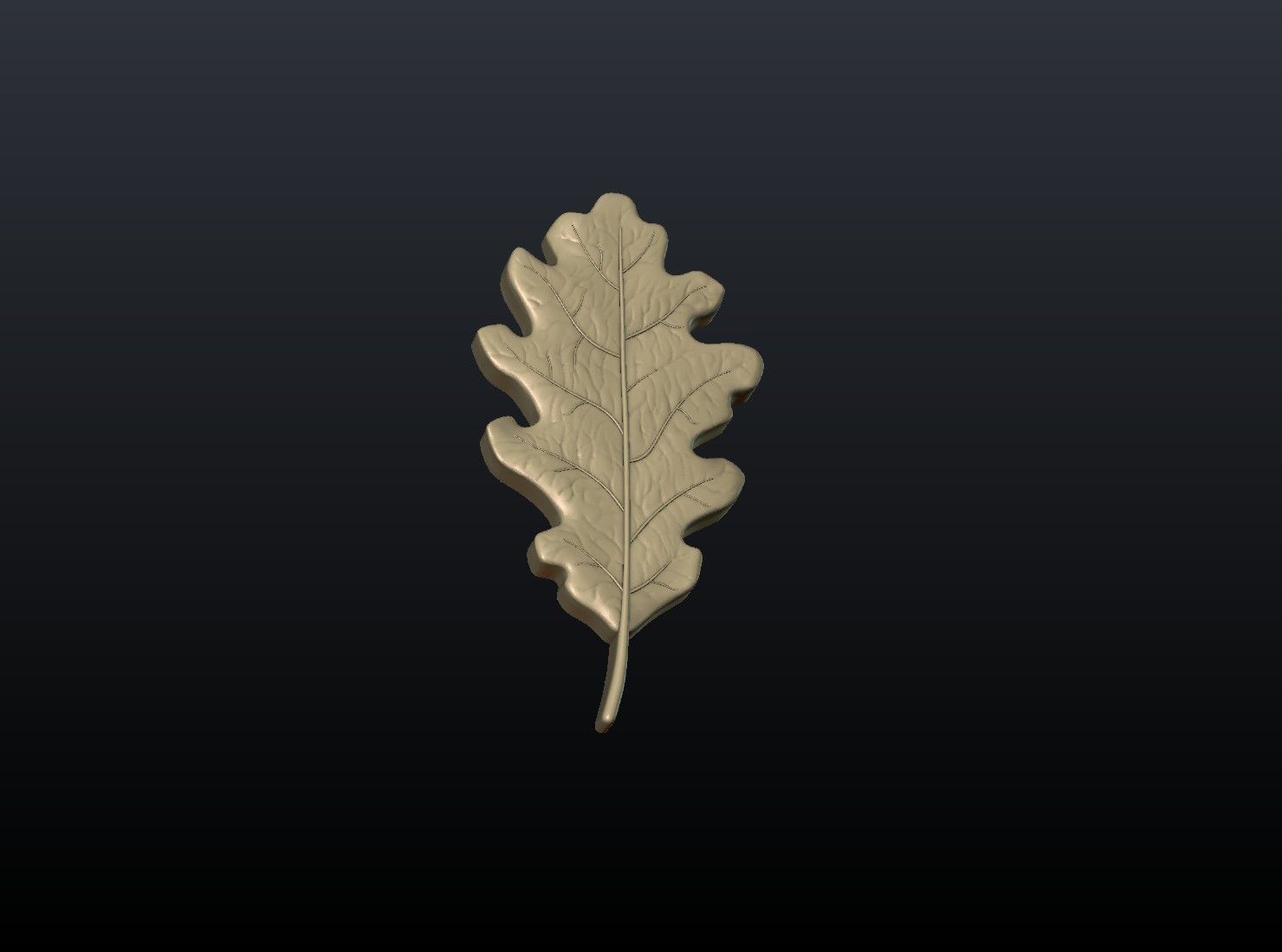 Oak leaf 3D print model_14