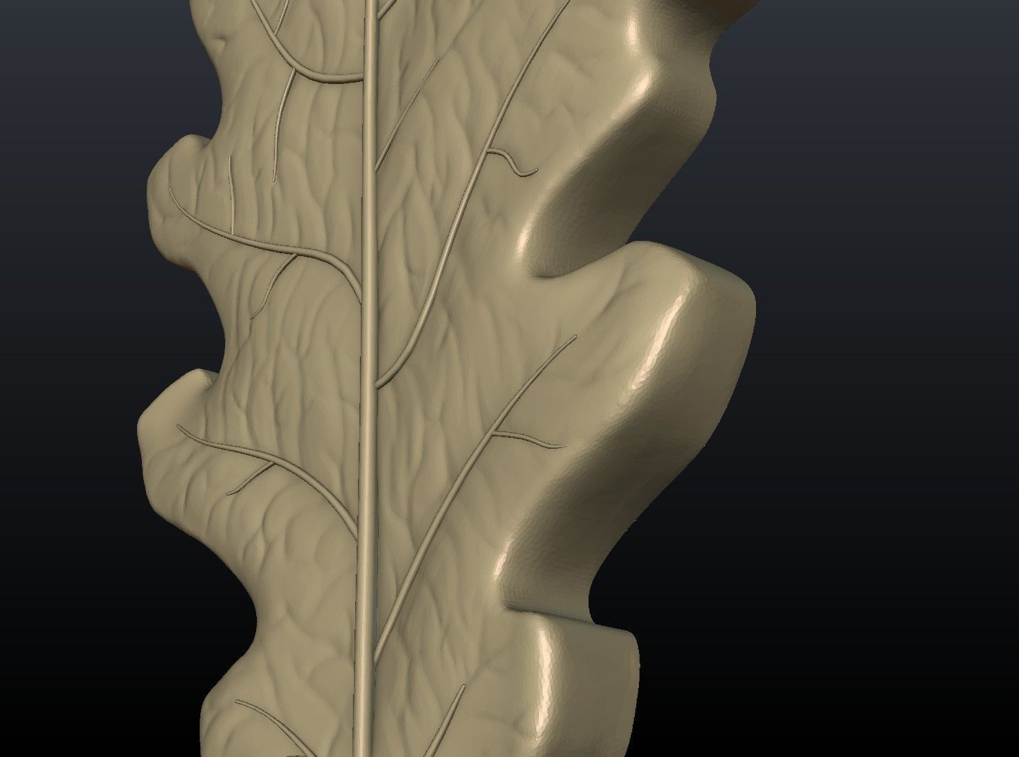 Oak leaf 3D print model_11
