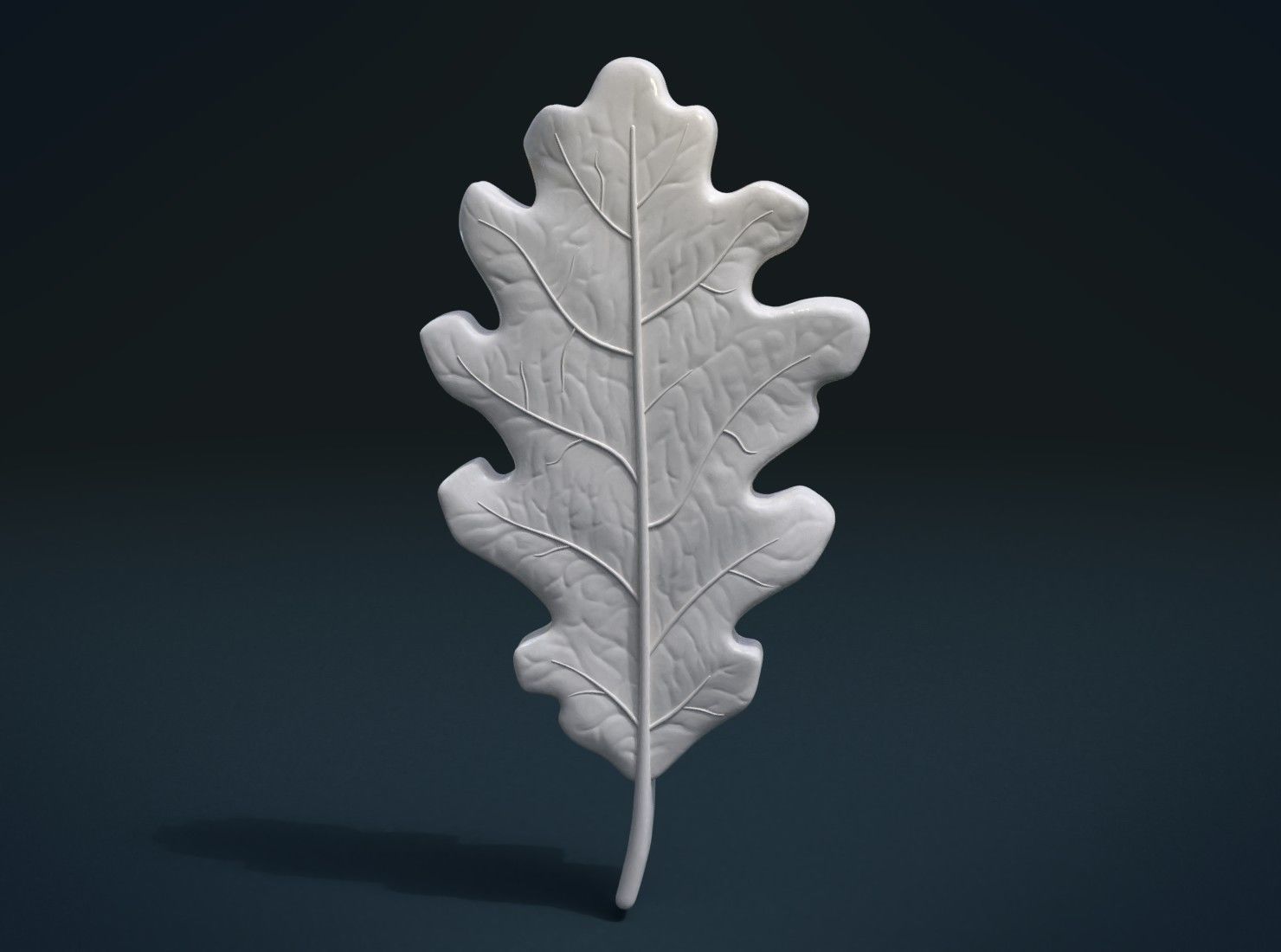 Oak leaf 3D print model_1