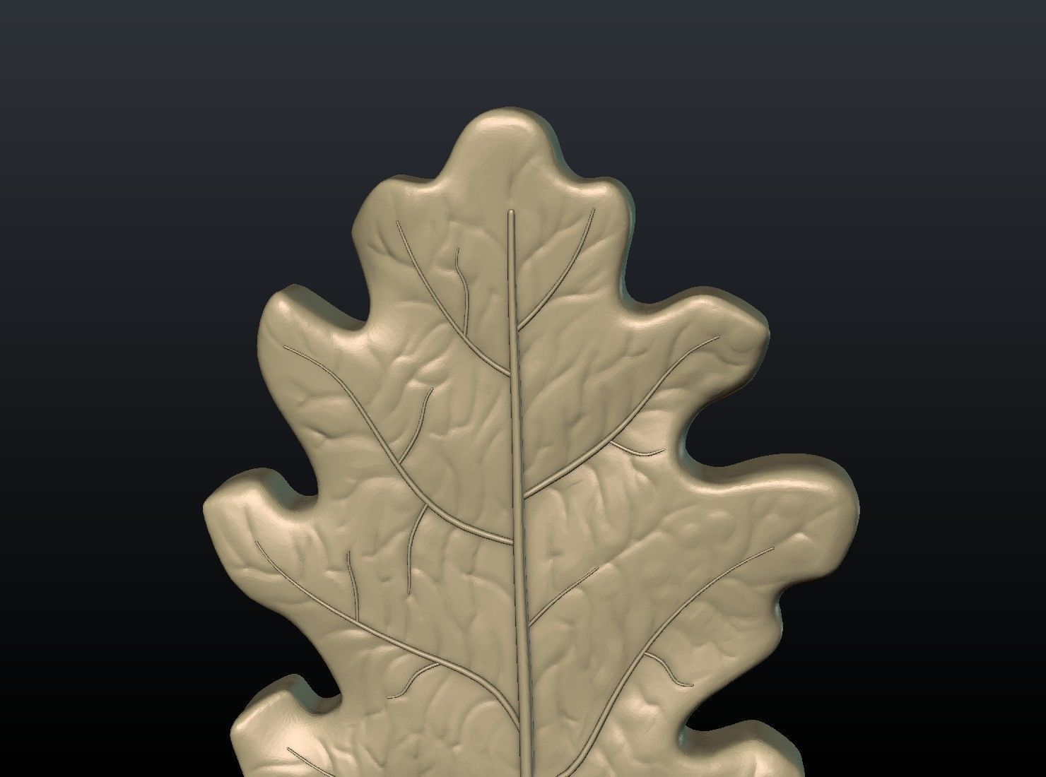 Oak leaf 3D print model_10