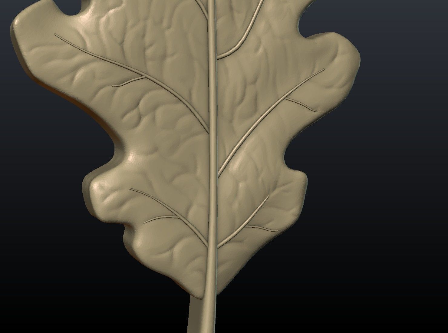 Oak leaf 3D print model_9