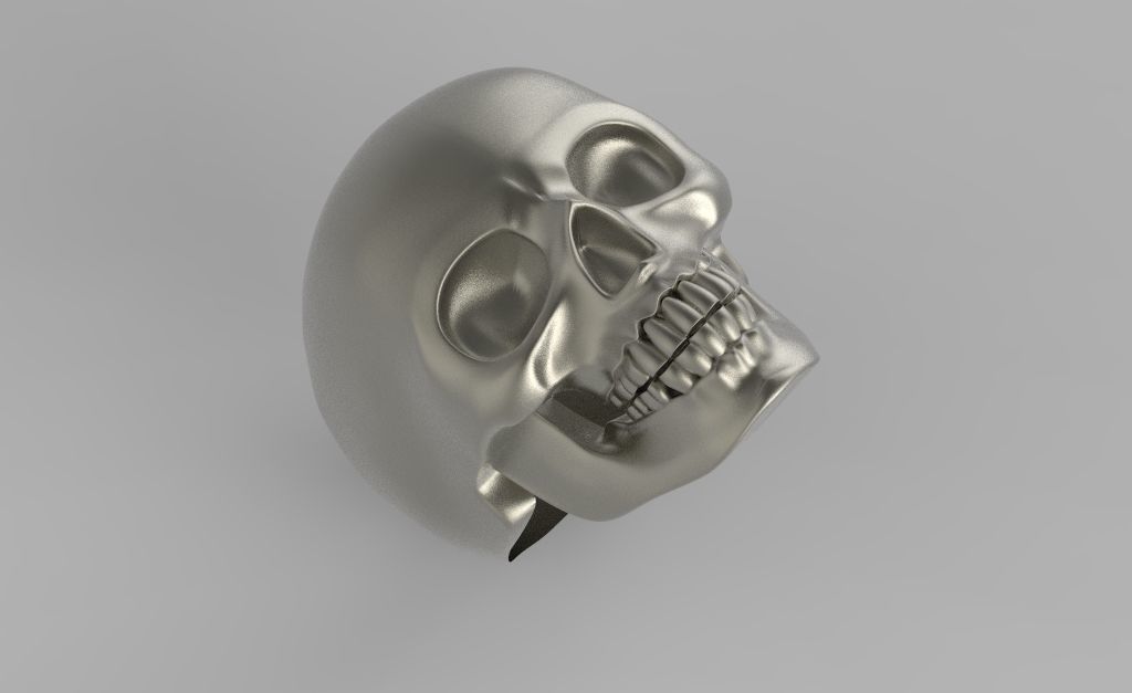 skull ring 3D print model_1