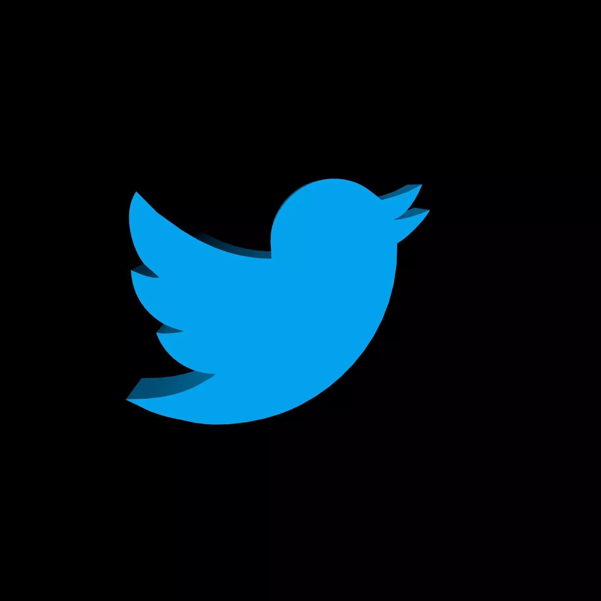 Twitter Logo 3D model