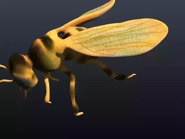 honey bee 3D model
