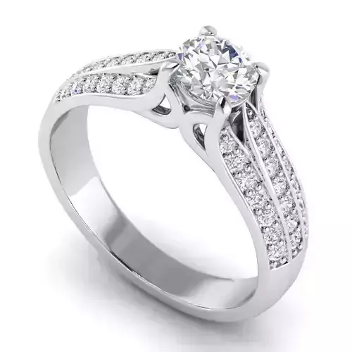 Engagement Ring With Diamonds 49
